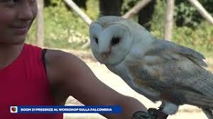 Irpinia TV - News update
