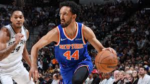 Landry Shamet Knicks 2025-26