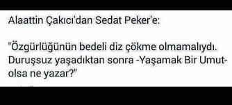 alaattin çakıcı sedat peker ile ilgili görsel sonucu