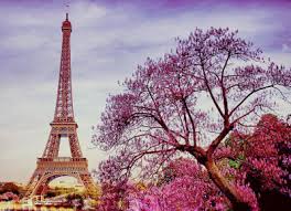 Image result for pictures of paris tumblr