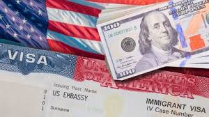 El Financiero - News update