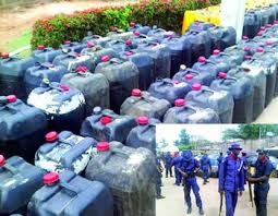 Image result for Nigerian civil defence