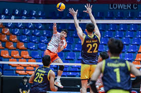 Criss Cross wary of hungry Savouge