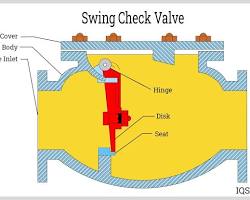 Image of Check Valve