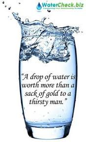 Water Conservation on Pinterest | Save Water, Spirituality and Water via Relatably.com