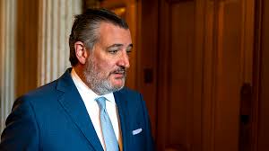 Cruz on Blanche’s Senate GOP meeting: ‘Fireworks at an epic level’