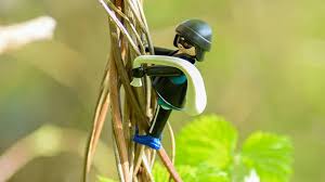 BMW-Fahrer ohne Führerschein flieht in Leipzig – Festnahme und Ermittlungen