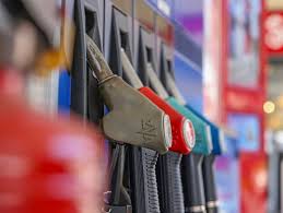 öffentlicher dienst