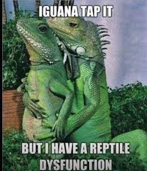 Reptile | Sayings, quotes, declarations and profanity welcome here ... via Relatably.com