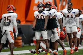 Bengals Defense Training Camp