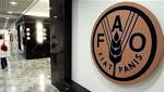 "الفاو" وشركة أوكرانية تبدأن تعاوناً