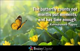 Butterfly Quotes - BrainyQuote via Relatably.com