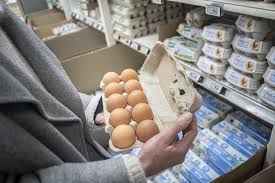 Crise des Oeufs en France: Pénurie Inattendue! Que se passe-t-il VRAIMENT?