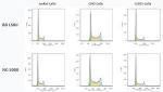 Jurkat E Cell Line human Blood from human (leukemic T-cell)