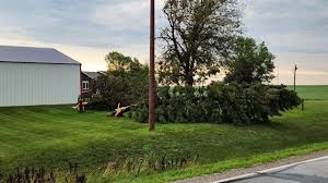 Gallery: Storms cause damage damage to trees and building in Eastern Iowa
