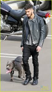 Resultado de imagem para zayn malik visual