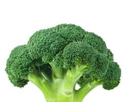 Gambar Broccoli