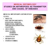 Image result for Entomology Studies