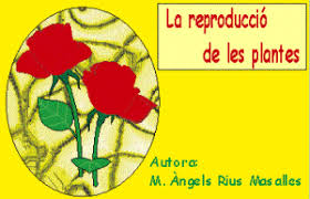 Resultat d'imatges de la reproduccio de les plantes