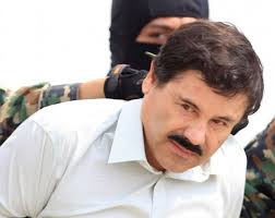 Image result for el chapo
