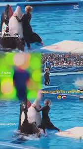 ভাগ্যবতী: এক নতুন ভিডিওর সন্ধানে | TikTok