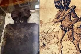 Sebuah Penemuan Aneh: Mumi Labu Dua Kepala yang Misterius ...