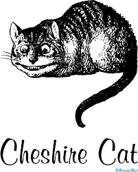 Bildergebnis für Die Grinsekatze