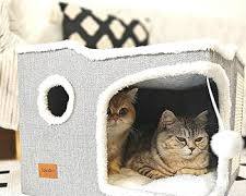 cute cat house with a hiding spaceの画像