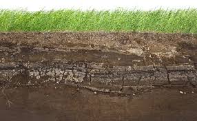 Image result for soil