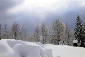 Image result for snowfall images