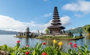 Trend Google: bali