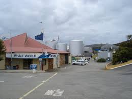 Image result for whale world near albany australia