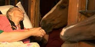 Woman's dying wish granted as she gets to visit childhood horse