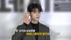 차은우 - 1인 기획사·가족 법인 통한 탈세 의혹, 대중 신뢰와 연예계 투명성 도마 위 (탈세 논란, 연예계 세무 이슈)