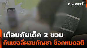 เตือนภัย! เด็ก 2 ขวบกินเยลลี่กัญชา หมดสติ หามส่ง รพ. ด่วน - Imagen principal del artículo