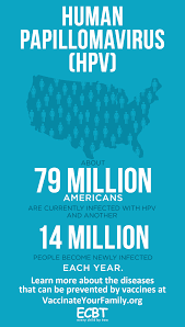 Image result for human papilloma virus