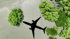 Sustainable travel: how the habits of different generations are changing
