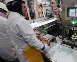 Hình ảnh về Cargill food processing machine