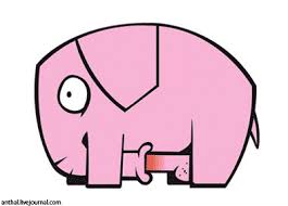 images?q=tbn:ANd9GcSyKy5-Ot5Omdmx6UTsd_yKRHqUtnu7Im3LIXnLWi4VQZGRcZAe