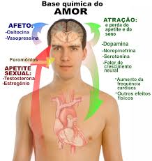 Resultado de imagem para 17 DE AGOSTO É DIA DE