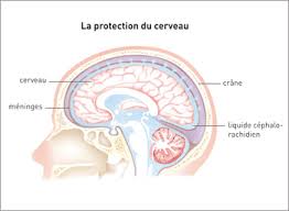 Les rocks et aussi les slows (mode radio radieuse) - Page 7 Images?q=tbn:ANd9GcSyZ55a55IKd-MzmY1e8Ll1PKAh22k4CWPnQkjyeDSxsMV2uzU_