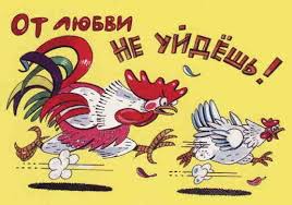 images?q=tbn:ANd9GcSyaQ27P8S_x5pdNCC5t-J