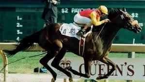 America's Best Racing - News update