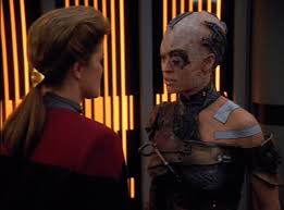 Image result for seven of nine
