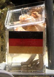 Image result for german octopus predicts football final