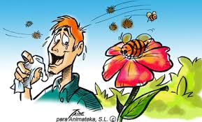 Qvision La alergia podría ser un factor protector frente al desarrollo de DMAE. images?q=tbn:ANd9GcSysaNxPbq8sdhqjaRydxT6zhX7tk0C hiWaS0dol08gwS C9zBO OhOrY