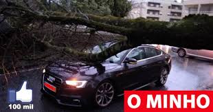 Braga vai remover cerca de 130 árvores na cidade e prevê plantar 400