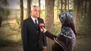 Image result for IRAN HORSES