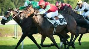 Les pronos hippiques du mardi 21 juillet 2026