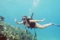 Cancun diving packages